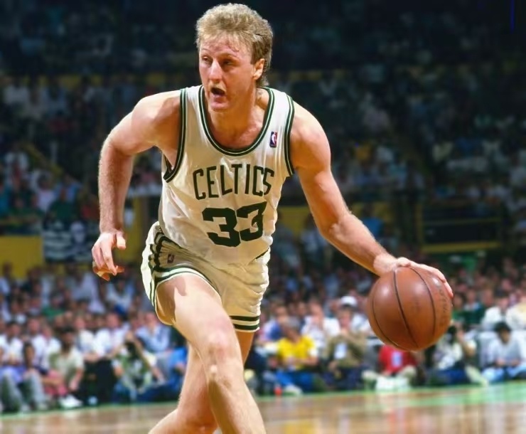 他们的年轻 他们的年轻